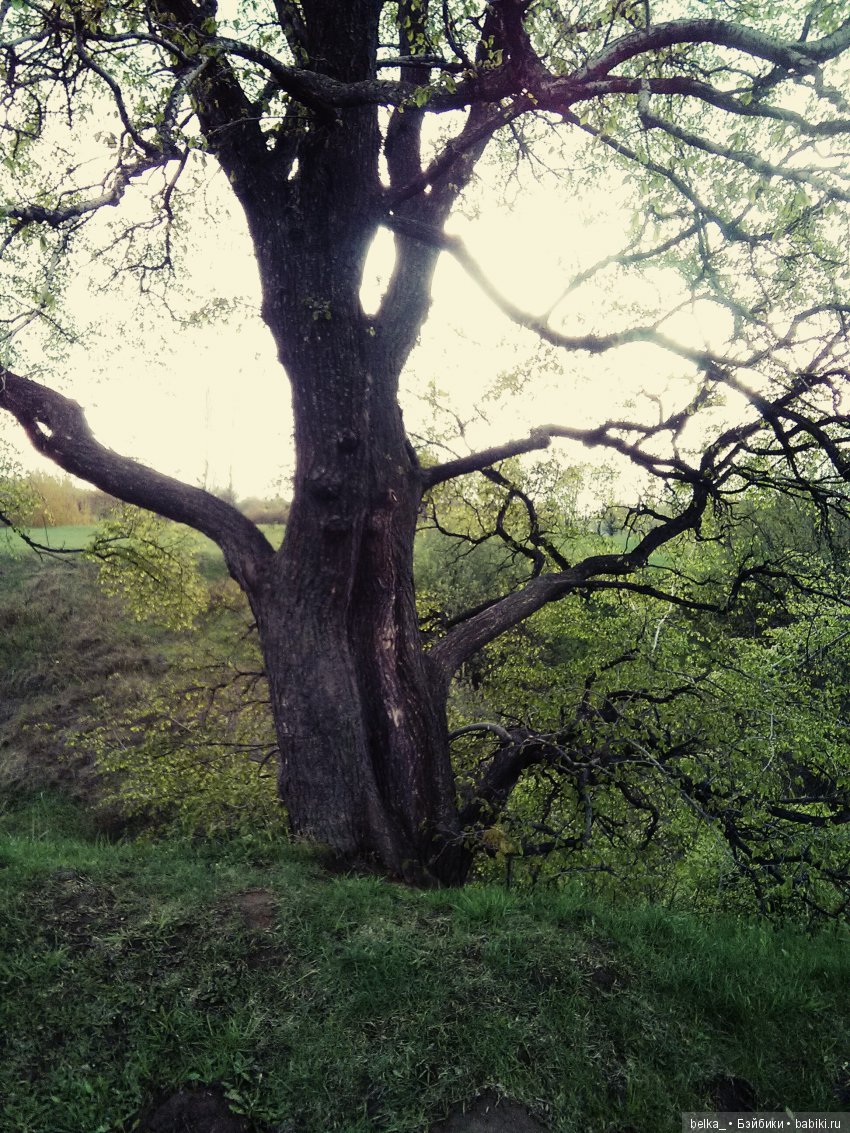 Весенний - май 2017 — Фотоистории с куклами BJD (БЖД): сериалы (фото 9)