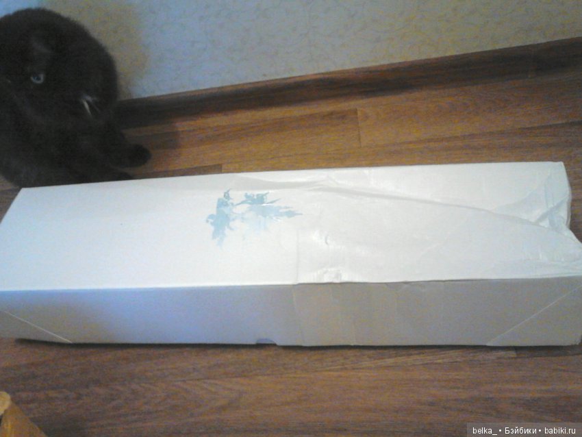 Распаковка doll chateau Dolores 2017 март (фото 3)