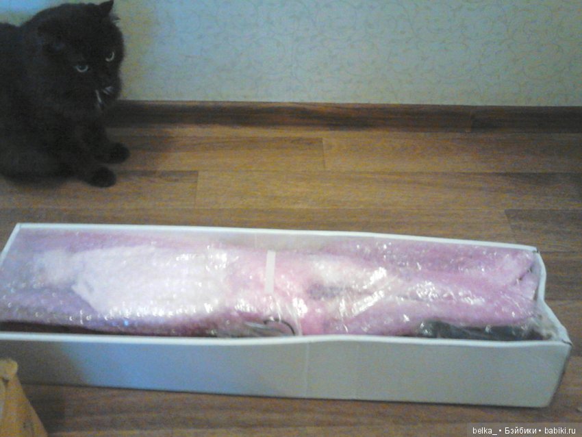 Распаковка doll chateau Dolores 2017 март (фото 4)