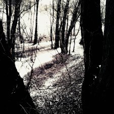 Dolores март 2017