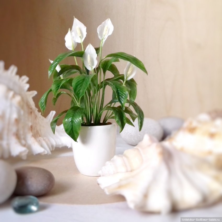 Миниатюрные цветы, цветы из холодного фарфора, цветы для кукольных домов, цветы для кукол,цветы книтель виктории