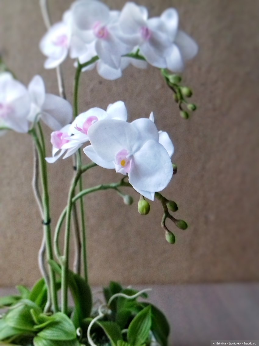 Миниатюрные цветы, цветы из холодного фарфора, цветы для кукольных домов, цветы для кукол,цветы книтель виктории