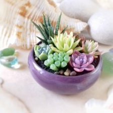 Миниатюрные цветы