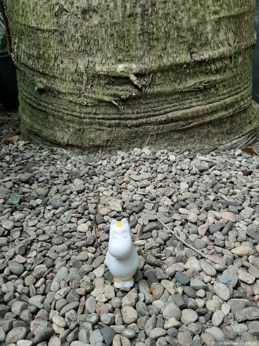 Фондовая оранжерея Главного ботанического сада им. Н. В. Цицина РАН (Московские тропики) и Фрекен Снорк (фото 10)