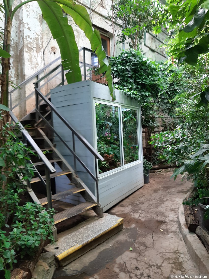 Фондовая оранжерея Главного ботанического сада им. Н. В. Цицина РАН (Московские тропики) и Фрекен Снорк (фото 8)