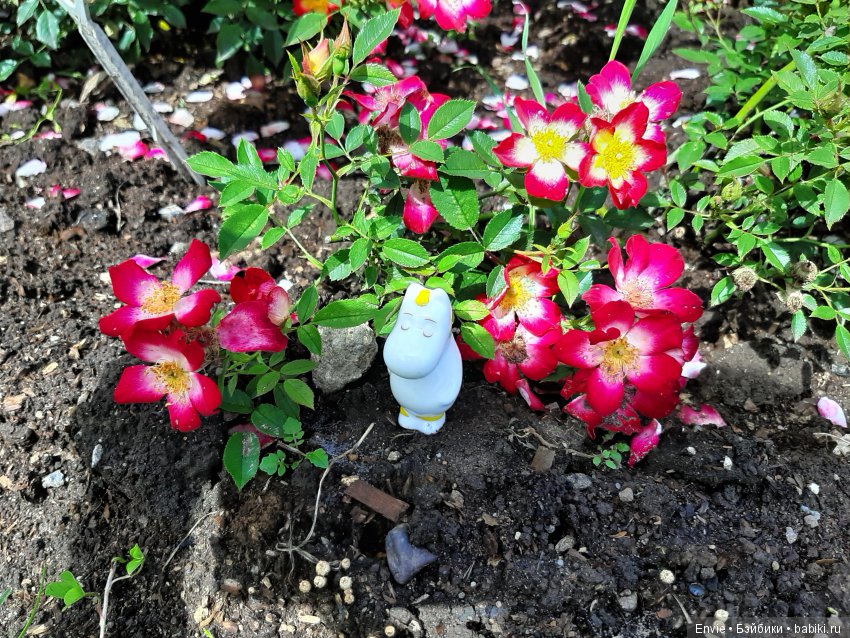 Фондовая оранжерея Главного ботанического сада им. Н. В. Цицина РАН (Московские тропики) и Фрекен Снорк