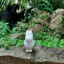 Фондовая оранжерея Главного ботанического сада им. Н. В. Цицина РАН (Московские тропики) и Фрекен Снорк