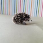 Ёжик из шерсти