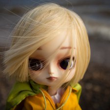 Калининград, отзовись! :)