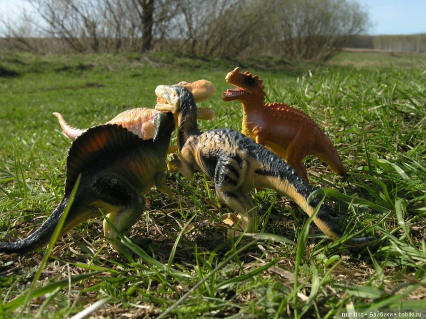 Динозавры на выпасе или Парк Юрского Периода на колхозном поле (фото 2)