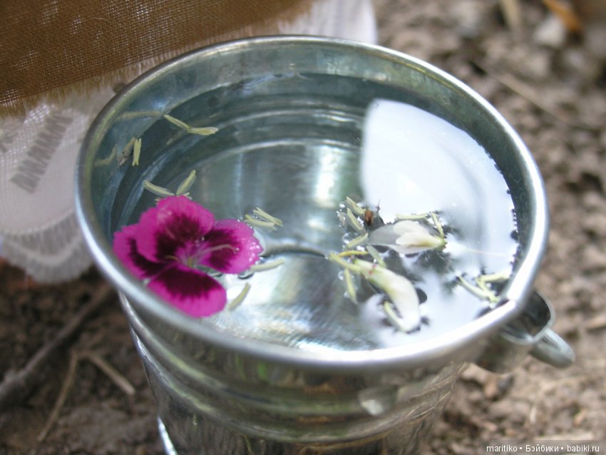 Мирослава и её помощник. Летние хлопоты (фото 6)