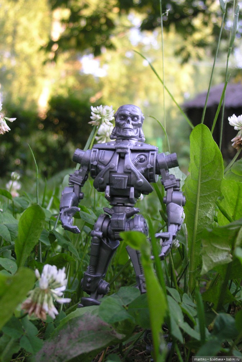 Мирослава и её помощник. Летние хлопоты (фото 10)