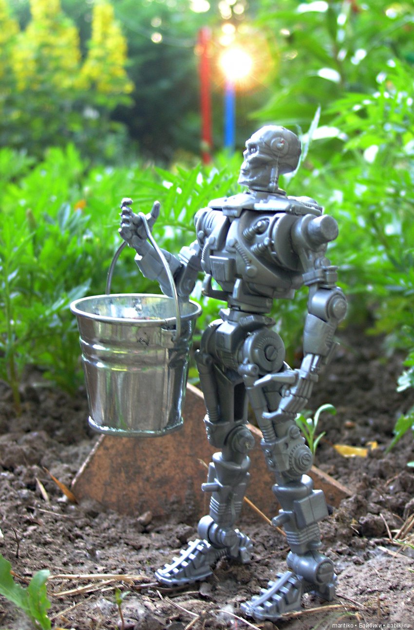 Мирослава и её помощник. Летние хлопоты (фото 4)