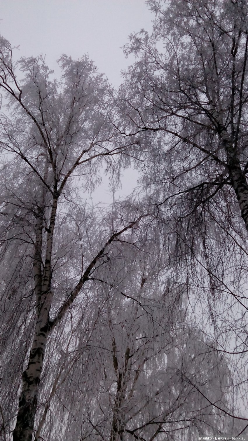 Предновогодняя сказка от Марфы Васильевны (фото 4)