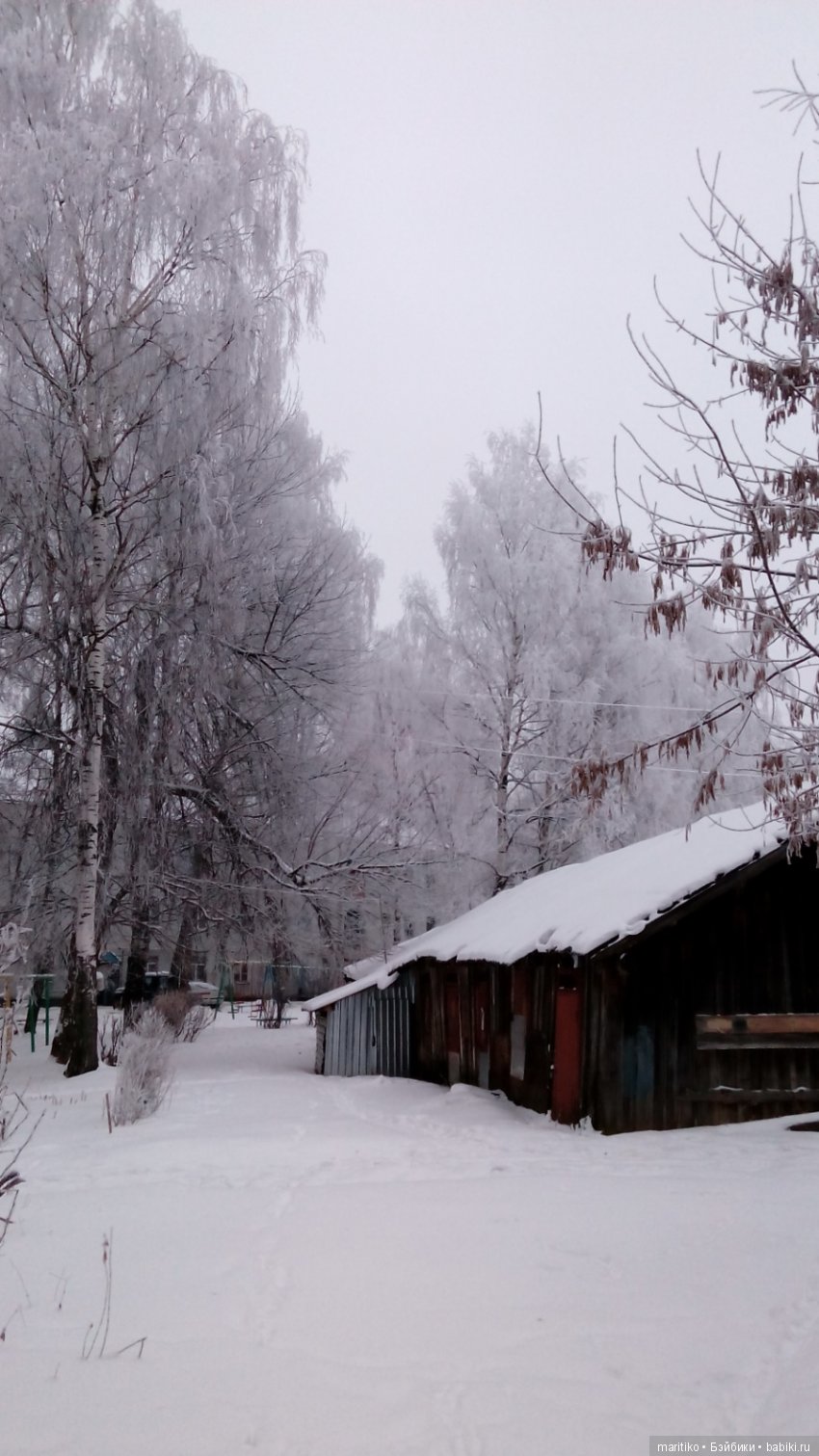 Предновогодняя сказка от Марфы Васильевны