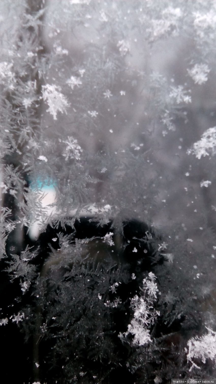 Предновогодняя сказка от Марфы Васильевны (фото 6)