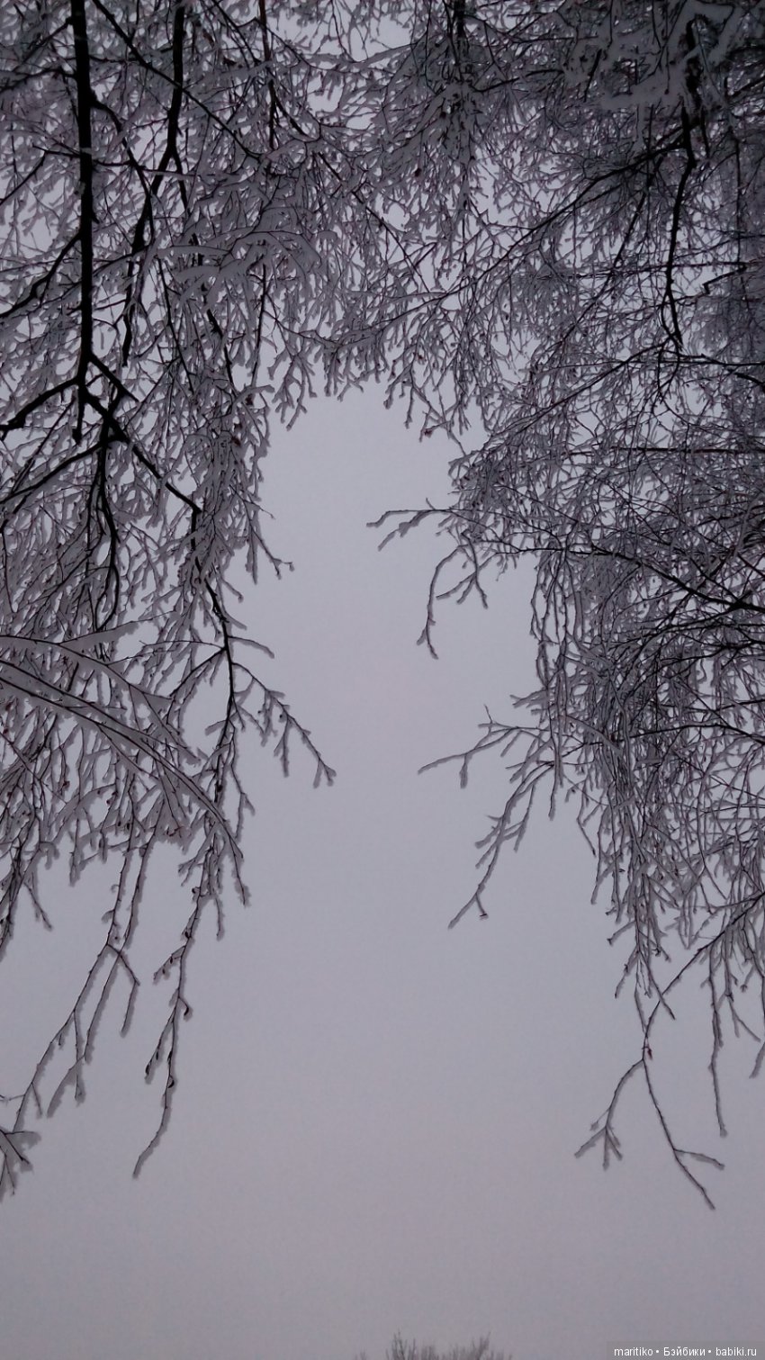 Предновогодняя сказка от Марфы Васильевны (фото 5)