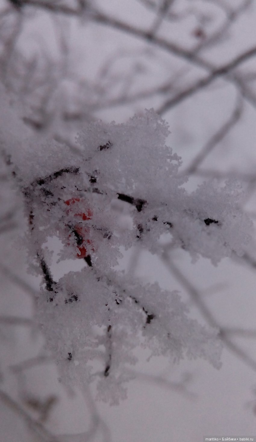 Предновогодняя сказка от Марфы Васильевны (фото 10)