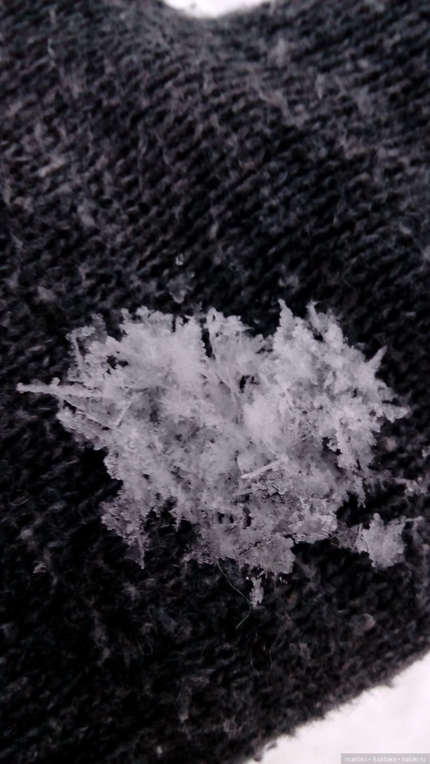 Предновогодняя сказка от Марфы Васильевны (фото 9)