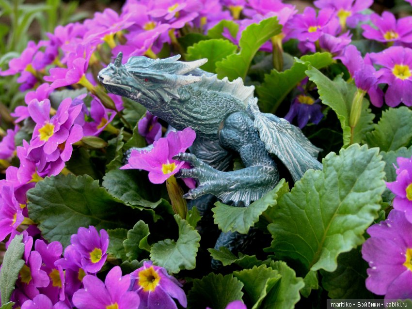 Прогулки с драконом — Разные шарнирные куклы (не БЖД): редкие (фото 7)