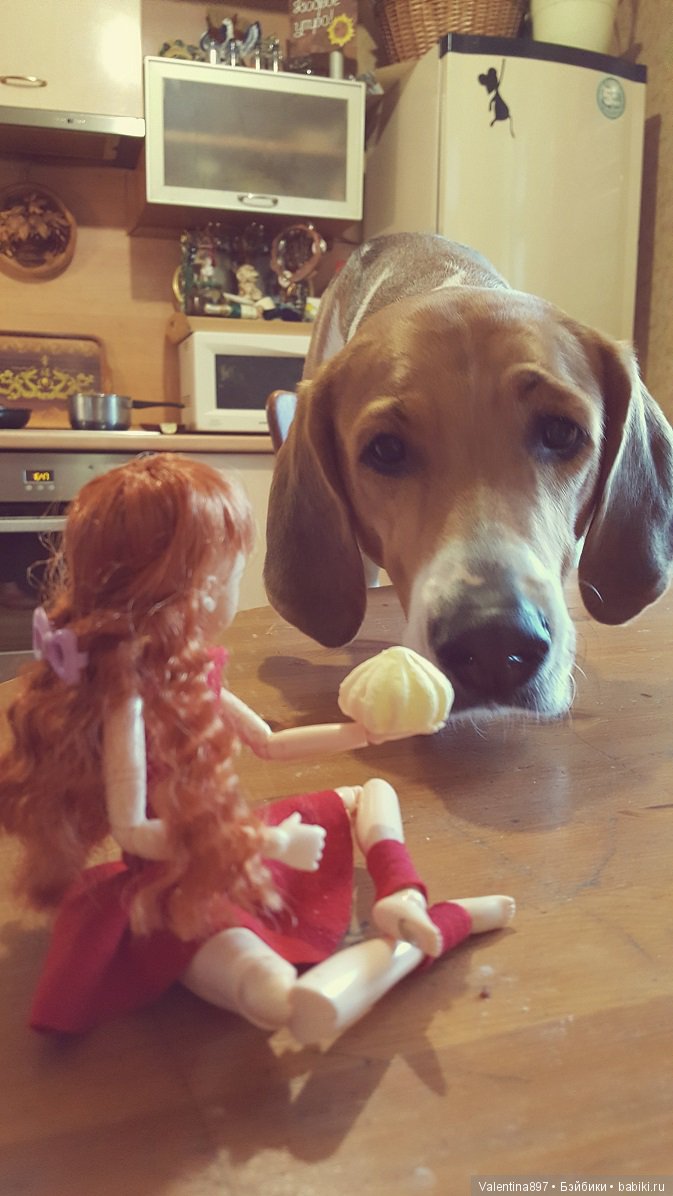 Год на бейбиках — Болталка и разговоры обо всем: жизнь (фото 2)