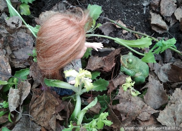 Новый ребенок в семье И дачные зарисовки (фото 5)