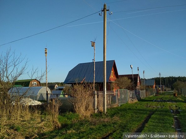 Новый ребенок в семье И дачные зарисовки