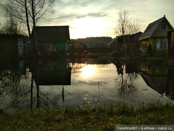 Новый ребенок в семье И дачные зарисовки