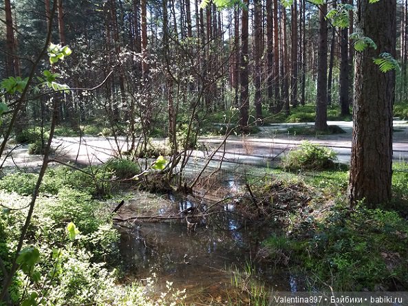 Новый ребенок в семье И дачные зарисовки