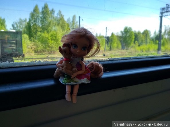 Новый ребенок в семье И дачные зарисовки