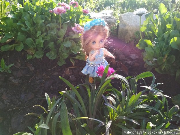 Новый ребенок в семье И дачные зарисовки