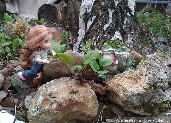 Новый ребенок в семье И дачные зарисовки (фото 6)