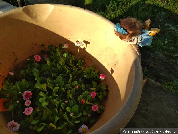 Новый ребенок в семье И дачные зарисовки