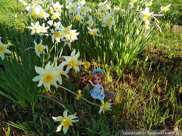 Новый ребенок в семье И дачные зарисовки