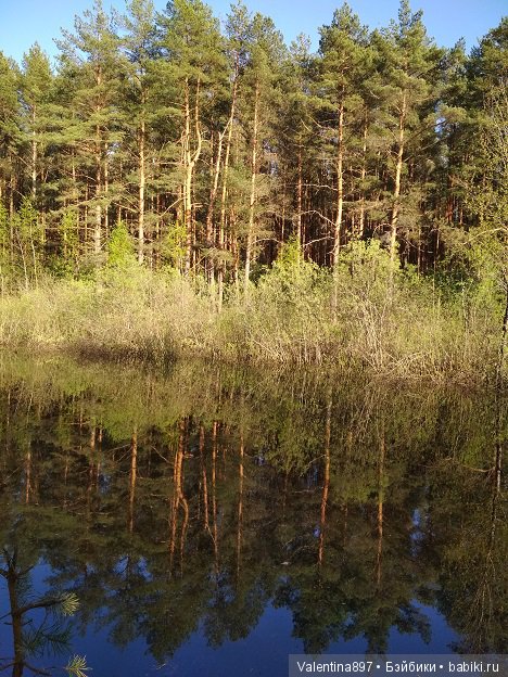 Новый ребенок в семье И дачные зарисовки
