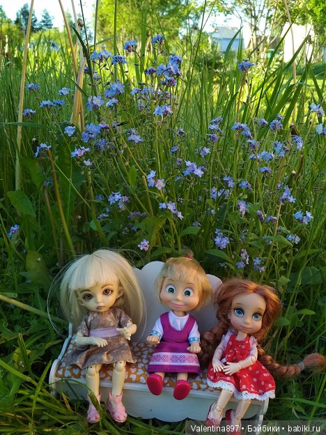 Дачные зарисовки — Болталка и разговоры обо всем: жизнь