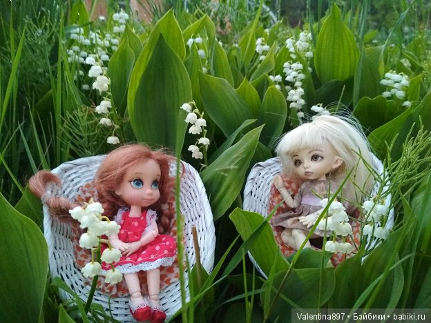 Дачные зарисовки — Болталка и разговоры обо всем: жизнь (фото 9)