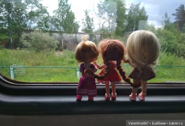 Дачные зарисовки — Болталка и разговоры обо всем: жизнь (фото 4)