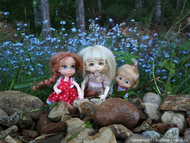 Дачные зарисовки — Болталка и разговоры обо всем: жизнь