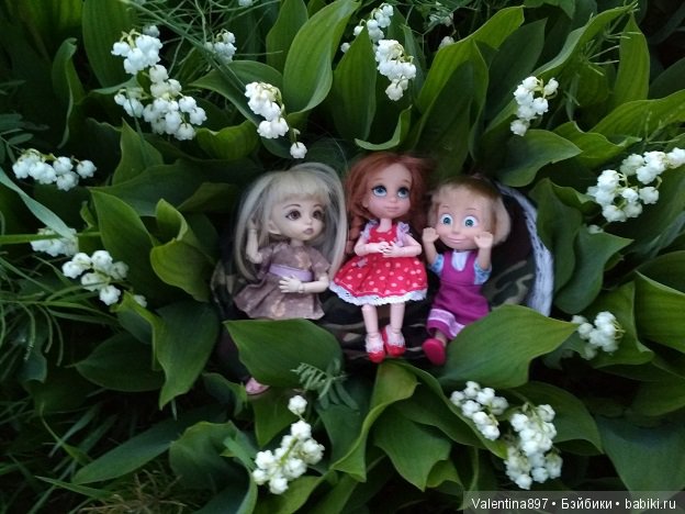 Дачные зарисовки — Болталка и разговоры обо всем: жизнь (фото 8)