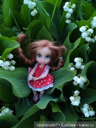 Дачные зарисовки — Болталка и разговоры обо всем: жизнь (фото 2)