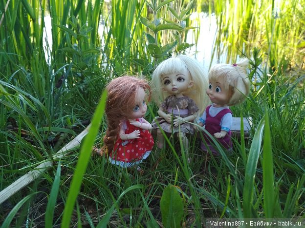 Дачные зарисовки — Болталка и разговоры обо всем: жизнь