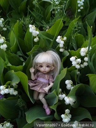 Дачные зарисовки — Болталка и разговоры обо всем: жизнь