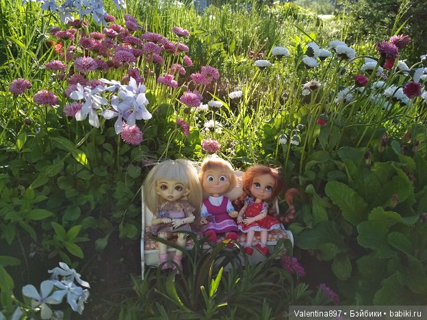 Дачные зарисовки — Болталка и разговоры обо всем: жизнь (фото 6)