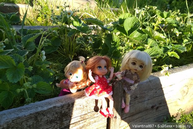 Дачные зарисовки — Болталка и разговоры обо всем: жизнь (фото 7)