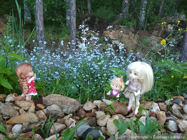 Дачные зарисовки — Болталка и разговоры обо всем: жизнь