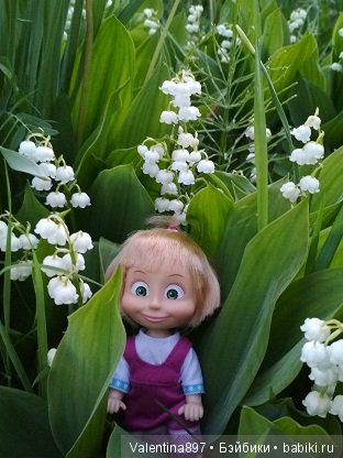 Дачные зарисовки — Болталка и разговоры обо всем: жизнь (фото 3)