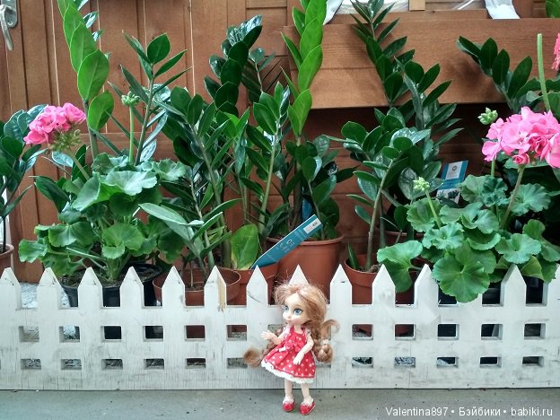 Как Даринка в ОБИ побывала (фото 3)