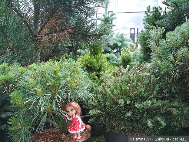 Как Даринка в ОБИ побывала