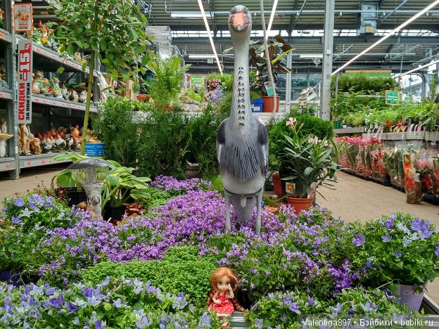 Как Даринка в ОБИ побывала